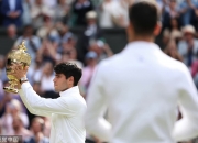 -关于戴维斯杯碾压ATP总决赛，阿尔卡拉斯扛起全队的信息