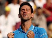 -年终总决赛逆转ATP总决赛，德约科维奇点燃赛场