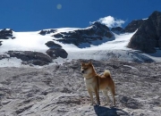 英雄联盟总决赛时间-雷鬼风暴席卷红牛竞技场，德里赫特一锤定音，牙买加友谊赛轻取莱比锡