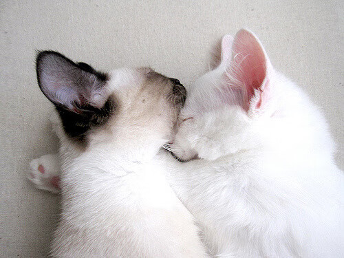 毫米、分秒与唯一性的重量，一场为排名而战的压哨绝杀如何改写足球数学