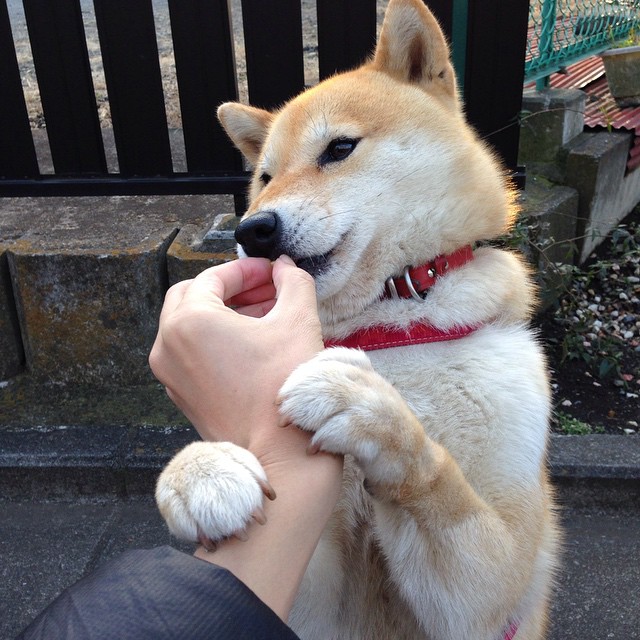 跨越次元的决斗，当保罗的冷血时刻照亮深篮之夜