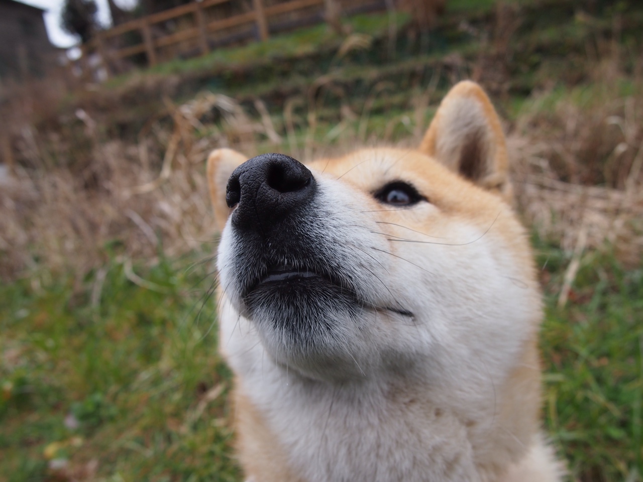 东方力量客场显威，山西队团队篮球体系如何让步行者俯首，马克西化身关键先生一锤定音