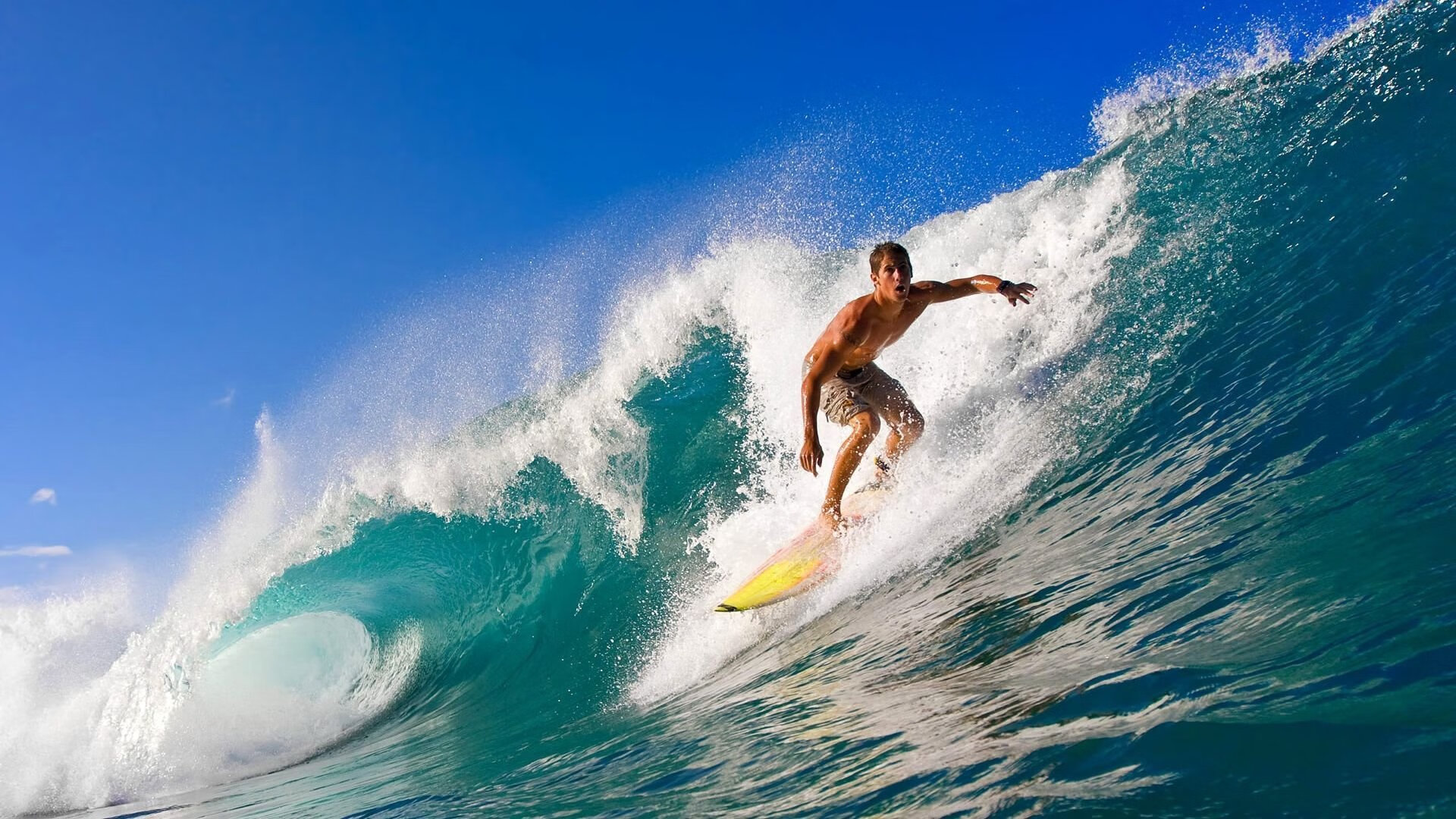 硬仗之王布伦森跨洋助阵，上海队淘汰赛力克鹈鹕创奇迹