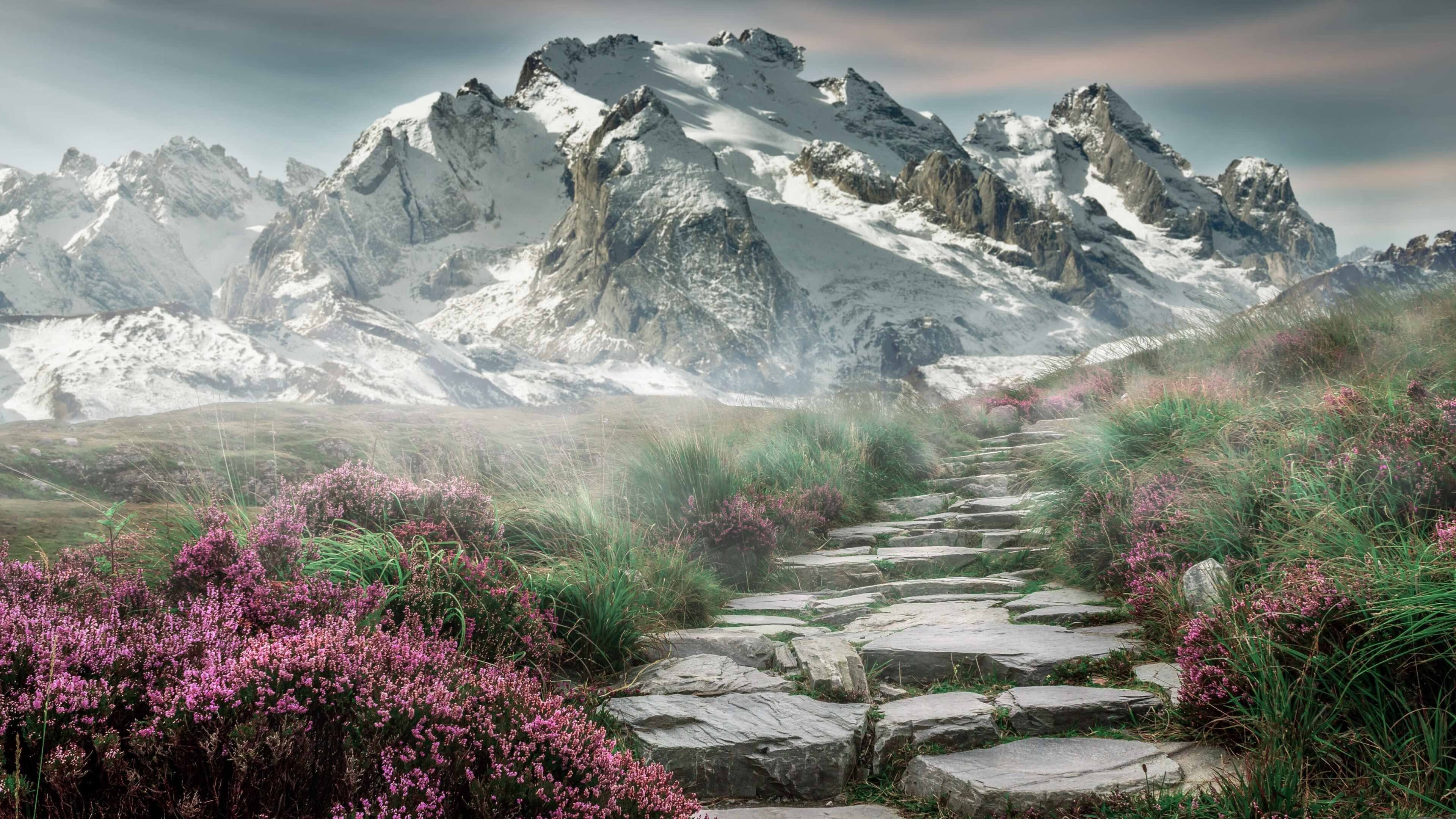 幽灵切特与两个主场的对决