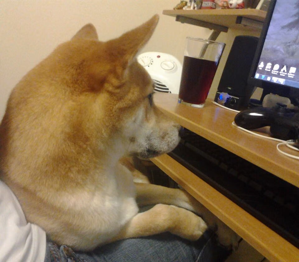 双线奏凯，加克波一锤定音，乌克兰球队欧战扬威