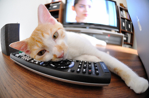 双重征服，当冷静头脑碾碎北欧堡垒，集体铁蹄踏平峡湾迷雾