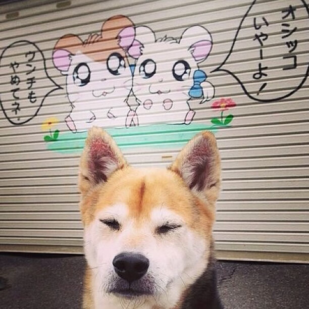 日灼天赋,星光乍现