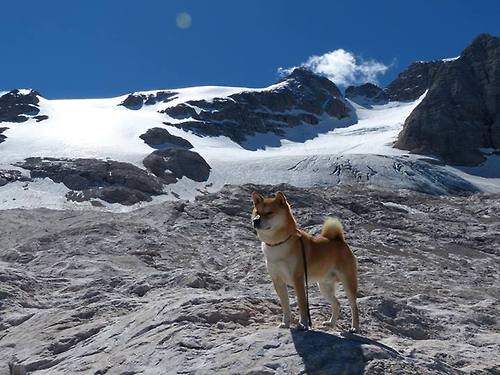 铁血与天赋的终极较量,阿森纳终结毕尔巴鄂,莱奥完成生涯里程碑