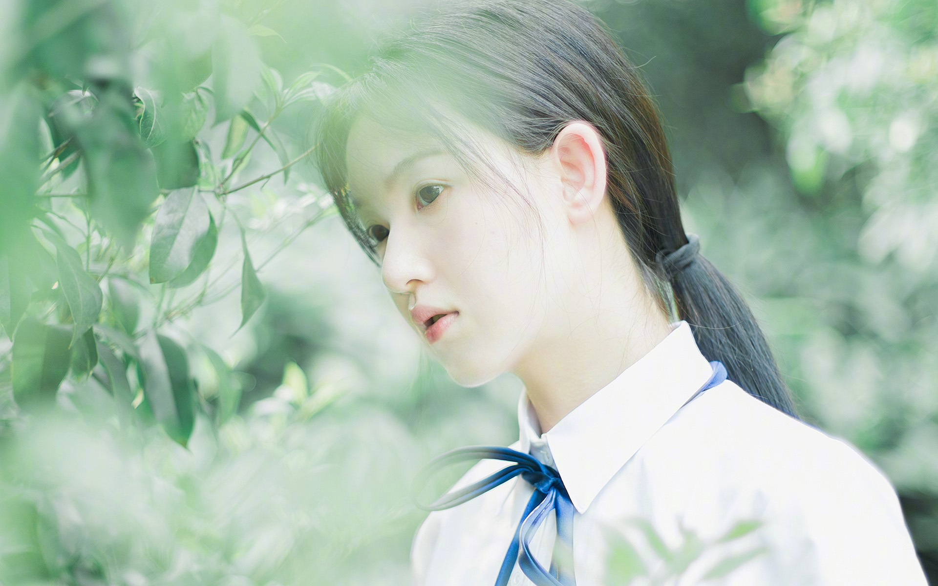 一夜之间，三声哨响，一位主宰者